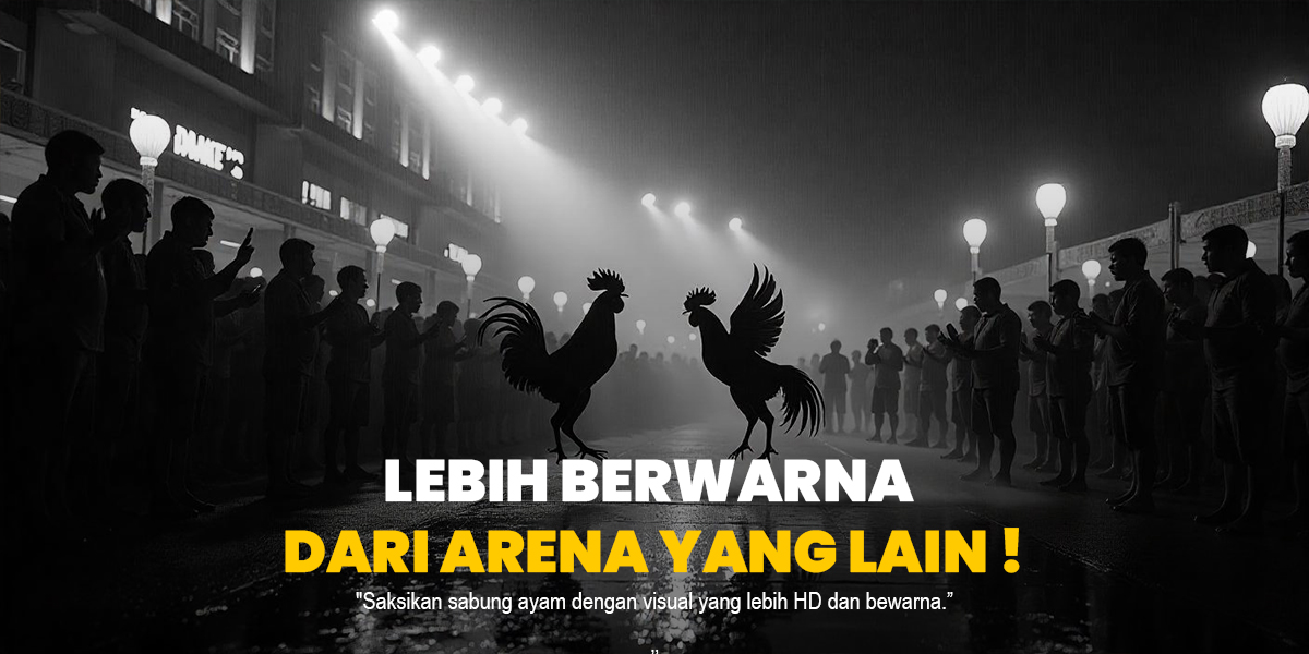 Memahami Sabung Ayam: Tradisi, Aturan, dan Perkembangannya